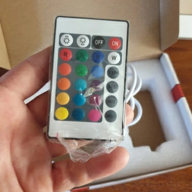 One Piece Monkey D Luffy Figure 3D Illusion LED Night Light Nightlight Touch Flash Light Desk Model Japan Anime Figure Toys