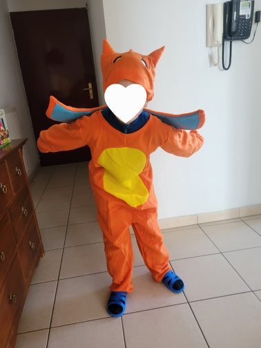 Pyjama pokemon cosplay pikachu deguisement dracaufeu carapuce