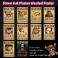 Poster one piece lot de 10 pieces 29×40cm
